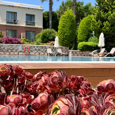 Hotel Antmare Alacati