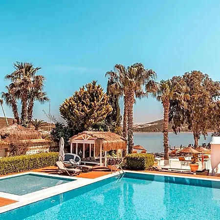 Antmare Hotel 3*