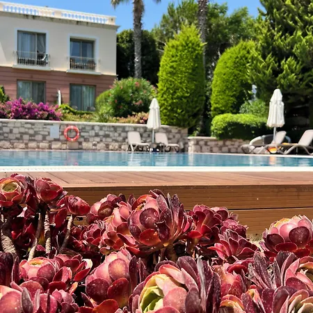 Hotel Antmare 3*